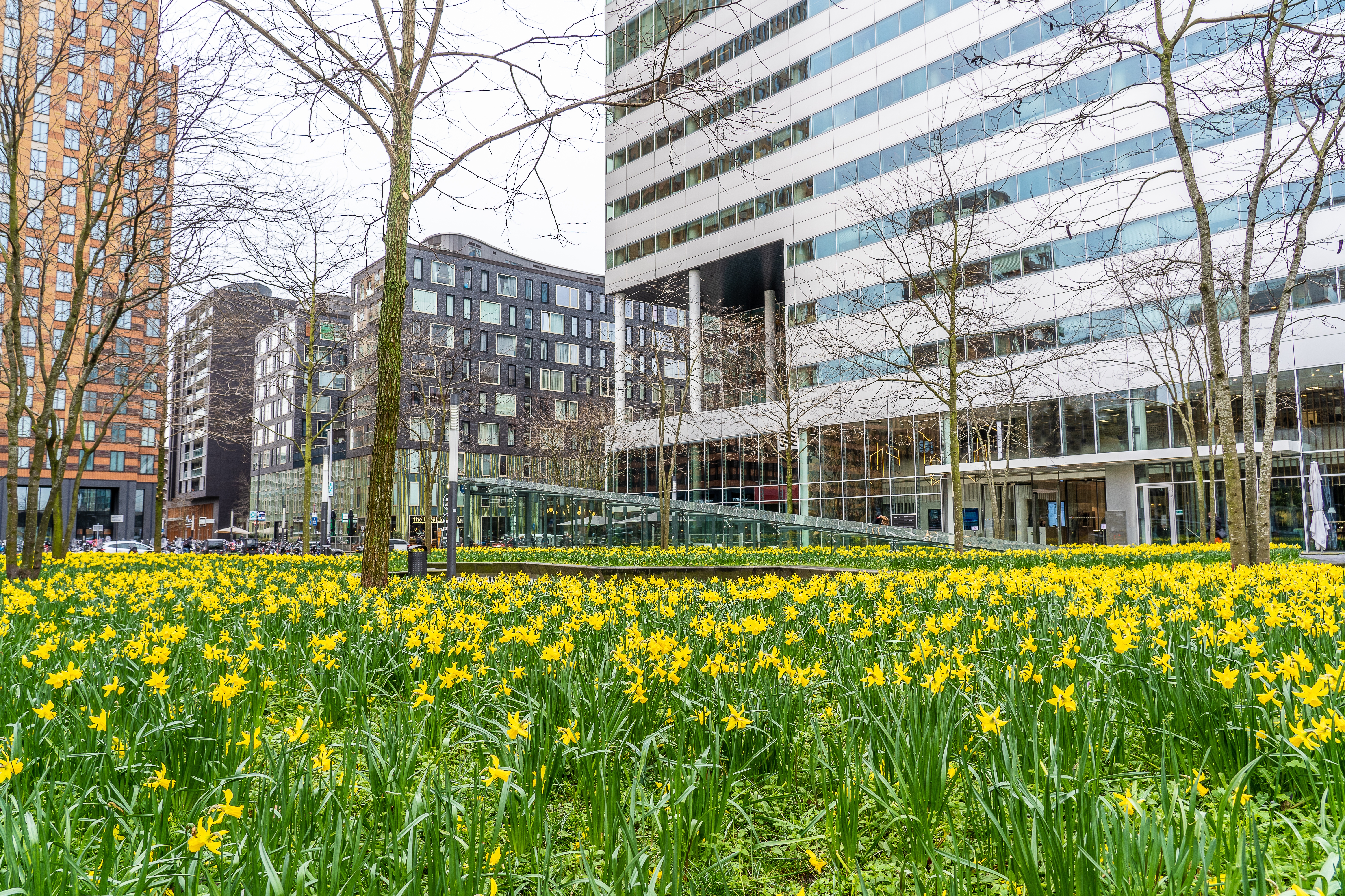 Cura Solace Tilburg hospital building